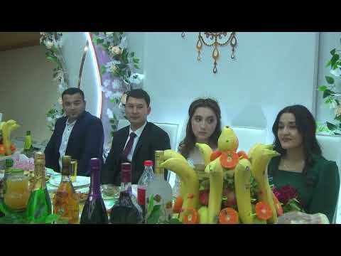 Видео: 04.11.2022 ТУЙ 2 ЧАСТЬ