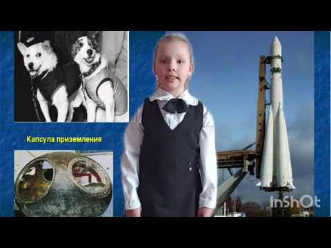 Видео: Яна Тиунова  город Омск школа 40