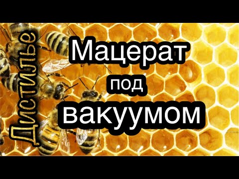 Видео: Медовый мацерат под вакуумом👍