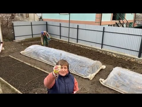 Видео: Подготовка к посеву.  Укрываем парники.  Вид Запрудного.
