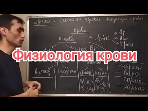 Видео: Физиология крови. Общая характеристика. Функция крови.#44