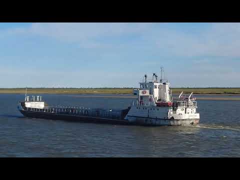Видео: Мамонты. Уголь. Северный завоз.