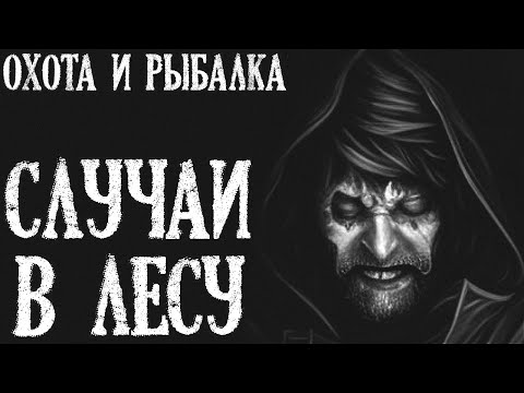 Видео: Охота и Рыбалка. Истории про Лес (4в1)