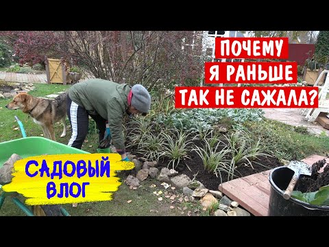 Видео: Только снег меня успокоит! Делю, сажаю, пересаживаю и переделываю цветник 🙈