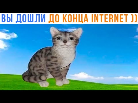 Видео: Вы дошли до конца internet ))) Приколы | Мемозг 1479