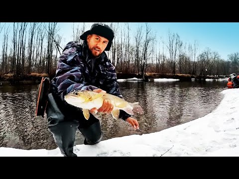 Видео: ГОРНАЯ РЫБАЛКА. Ловля тайменя и ленка весной. Весенняя рыбалка на тайменя и ленка. Реальная рыбалка.