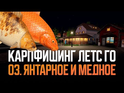 Видео: Карпфишинг на озерах Янтарное и Медное ● Русская рыбалка 4 ● Перчик РР4
