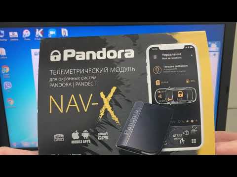 Видео: Pandora Nav X Настройка и запись в систему