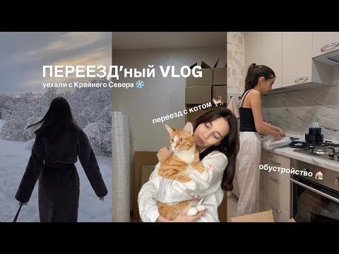Видео: vlog 📦 МЫ ПЕРЕЕХАЛИ с Крайнего севера | переезд с котом | обустройство новой квартиры