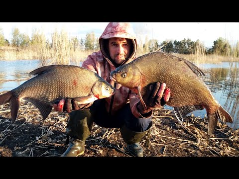 Видео: ЛЕЩ любит КИВОК, Ловля на боковой кивок, Боковой кивок