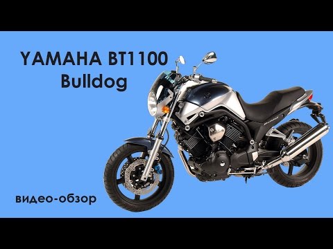 Видео: Видео-обзор Yamaha BT1100 Bulldog