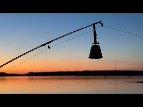 Видео: НАЛИМЫ НЕ ДАЮТ ПОКОЯ!!! КУДА НАМ СТОЛЬКО РЫБЫ?!