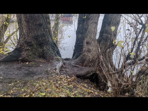 Видео: В поисках "человека" и Энергии природы