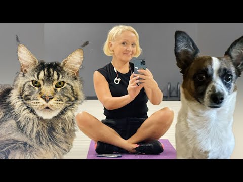 Видео: День из жизни 💜 Спорт, красота и пушистые хвостики.