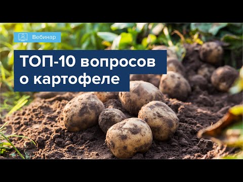 Видео: ВЕБИНАР "ТОП 10 ВОПРОСОВ В МИНЕРАЛЬНОМ ПИТАНИИ КАРТОФЕЛЯ"