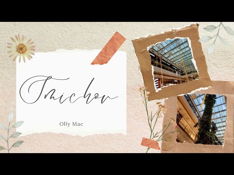 Видео: Самый большой торговый центр Праги | Покупки в Чехии