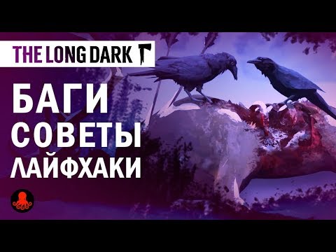 Видео: The Long Dark: БАГИ, СОВЕТЫ, ЛАЙФХАКИ