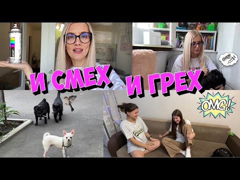 Видео: Вся правда о друзьях и мамах. Новая переделка и хищный кот.