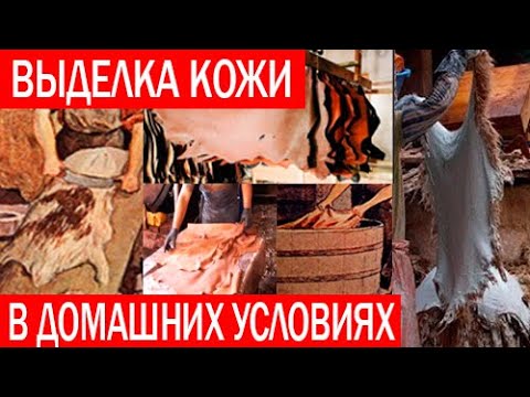 Видео: Выделка кожи в домашних условиях. Обработка шкур. Часть 1