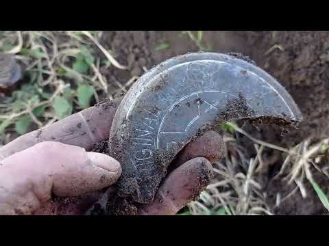 Видео: поиск клада. монеты. медальон.грустное начало, хорошая концовка.