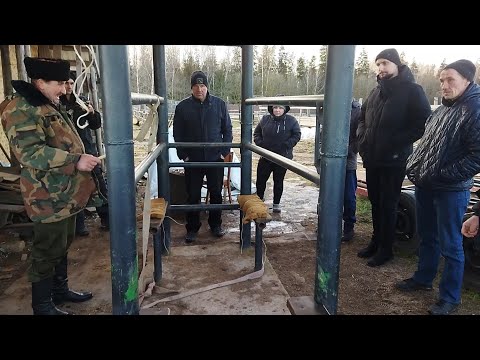 Видео: ЛОШАДИ🐎СТАНОК ДЛЯ РАСЧИСТКИ И КОВКИ ЛОШАДЕЙ👍