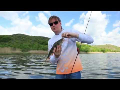 Видео: Северский Донец. Охота на голавля.