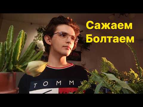Видео: ПЕРЕСАЖИВАЮ растения / Встреча с Анной / ПОДГОТОВКА растений к ЗИМЕ