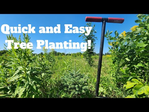 Видео: Как сажать деревья с помощью колышкодержателя