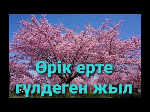 Видео: ӨРІК ЕРТЕ ГҮЛДЕГЕН ЖЫЛ 2-ШІ БӨЛІМ | ПОВЕСТЬ | НАҒАШЫБЕК ҚАПАЛБЕКОВ |