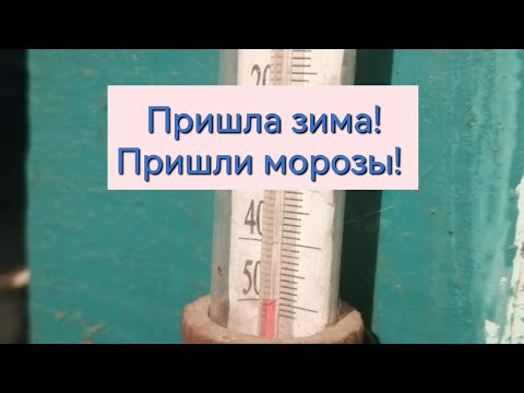 Видео: КРОЛИКИ И МОРОЗЫ