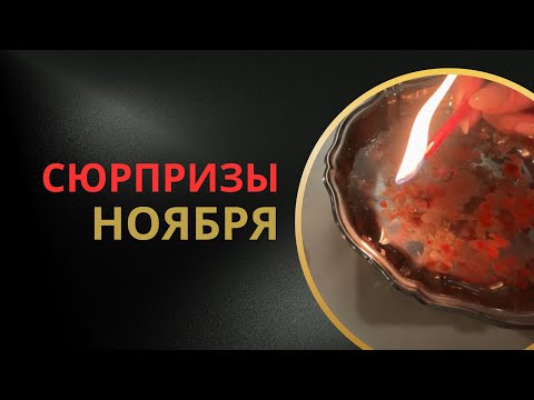 Видео: 🎆Сюрпризы НОЯБРЯ🤩
