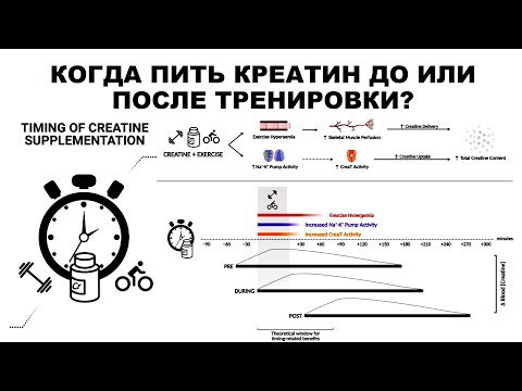 Видео: КОГДА ПИТЬ КРЕАТИН ДО ИЛИ ПОСЛЕ ТРЕНИРОВКИ?