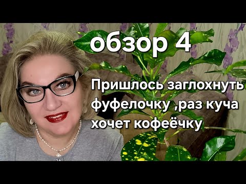 Видео: Пришлось заглохнуть фуфелочку ,раз куча хочет кофеёчку❗️