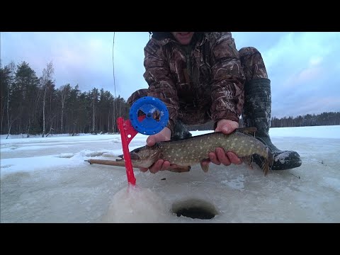 Видео: Озеро Большое Симагинское. Рыбалка по последнему льду