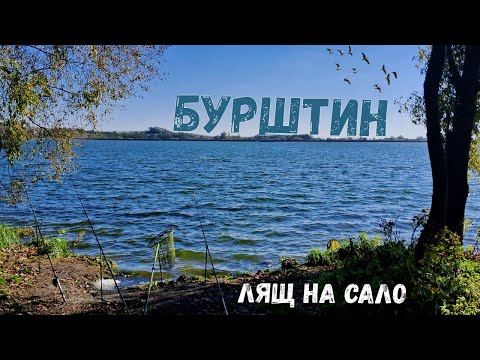 Видео: Риболовля в жовтні. Бурштинське водосховище. Лящ на сало.