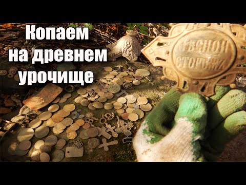 Видео: Древнее урочище за болотом#Поиск с металлоискателем 2023