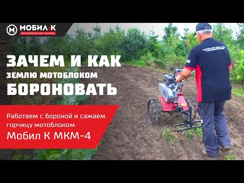 Видео: Мотоблок с бороной! Зачем и как правильно бороновать?! Зачем сеять горчицу?! Мотоблок МОБИЛ К!