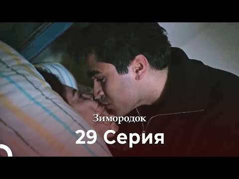 Видео: Зимородок 29 Cерия (Русский дубляж) (4K)