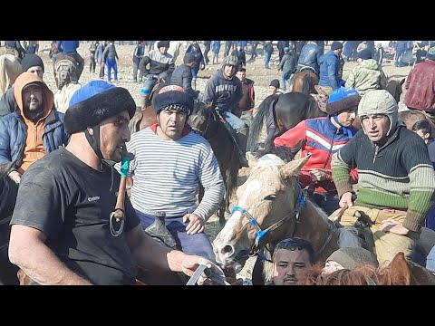 Видео: Бузкаши шахри Панчакент кисми 3 куктош
