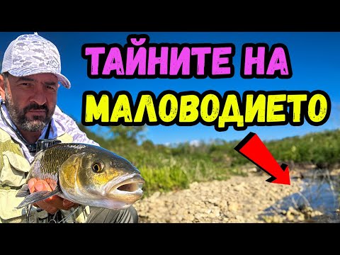 Видео: ТЕХНИКИ и ПРИМАМКИ за КЕФАЛ в малка вода. РИБОЛОВ на КЕФАЛ на река Струма