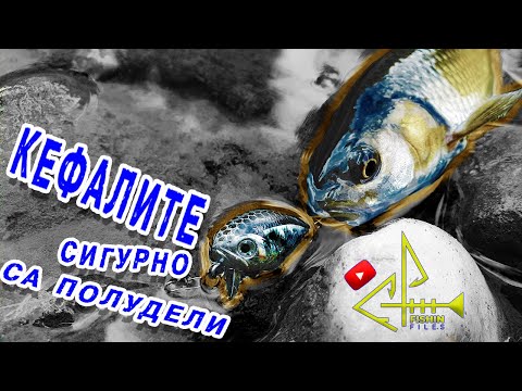Видео: РИБА след РИБА !! Риболов на кефал с ВОБЛЕР