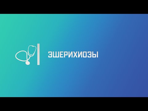 Видео: Инфекции, вызванные Escherichia coli (E.coli). Лекция для студента и практикующего врача.