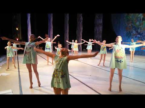 Видео: Nastja Ruppel Ballet || ТАНЕЦ "НАМАЛЮЮ ТОБІ ЗОРІ" Днепр Оперный Театр