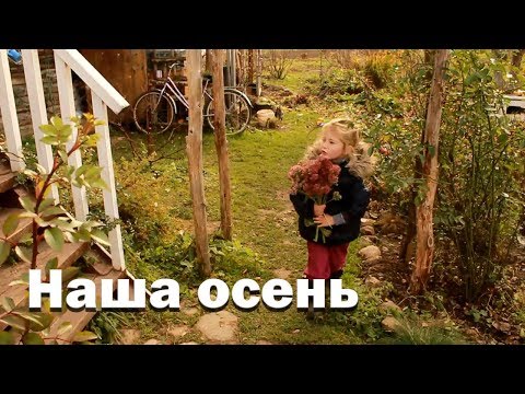 Видео: Женские будни//Скучно не бывает!
