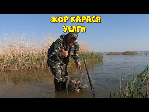 Видео: 2022 Жор карася на озере Уелги