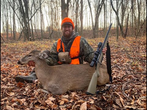 Видео: ПЕРВЫЙ ОЛЕНЬ с BUSHMASTER 450! (20 НОЯБРЯ)