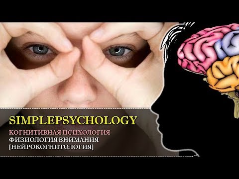 Видео: Когнитивная психология внимания #38. Физиология внимания [Нейрокогнитология]