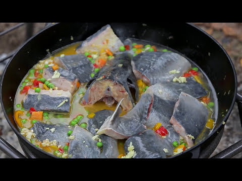 Видео: СТЕРЛЯДЬ НА БЕРЕГУ