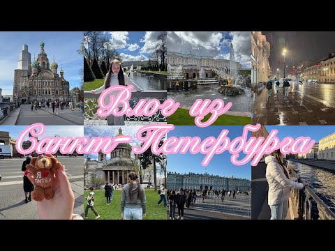 Видео: Влог из Питера!!! 🏛️        #санктпетербург #питер #влог #vlog 