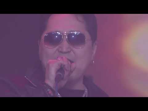 Видео: Айзам 2 - Бороо (Mongolian Hits)